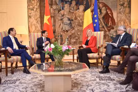 Belgium to have projects to support Vietnam in Agent Orange/Dioxin contamination clean-up