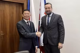 Vietnam, Slovakia see great potential to develop cooperation: Slovak legislator