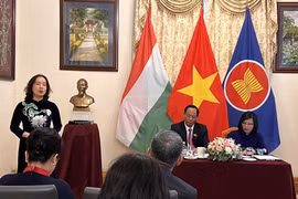 Revised land law shows fair policy towards OVs: Ambassador