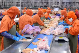 Vietnam’s agricultural exports to China expected to rise