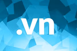 Changes in regulations on ".vn" domain names proposed
