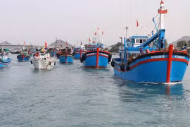 Quang Nam develops logistics services for offshore fishing, combat IUU fishing