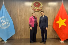 UNICEF appreciates Vietnam’s implementation of child care, protection policies