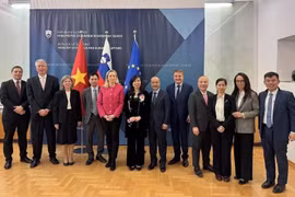  Vietnam treasures ties with Slovakia: Deputy FM