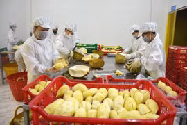 Breakthroughs recorded in fruit, vegetable exports in Q1