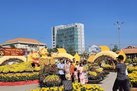 Localities report growth in tourist number during Tet holiday