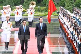 Vietnamese, UK PMs hold talks with focus on enhancing ties 