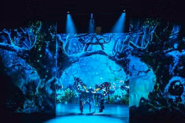 First 3D art performance to splash in Hanoi 