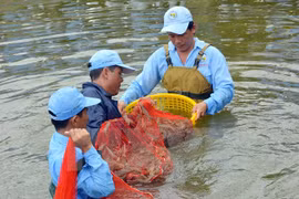 Tra Vinh supports production models adaptive to climate change