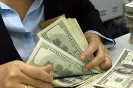 SBV assurance calms foreign exchange fears