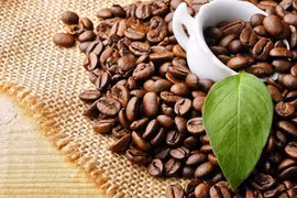 Starbucks to sell Da Lat Arabica coffee globally 