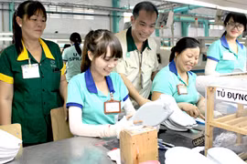 Dong Nai’s footwear sector sees strong growth