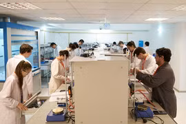 Vietnamese students win medals at Int’l Chemistry Olympiad 