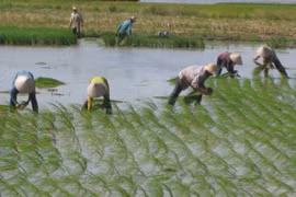  Thai Nguyen: Over 1 trillion VND for new-style rural area building 