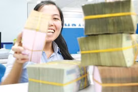 Vietnam has adequate budget oversight