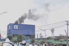 Vietnam, Japan jointly adapt to climate change