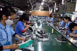 Local firms eye South African market 