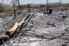 NA hears about negligence in managing forest, farm land