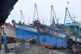 Storm shelter and fishing port to be built in Kien Giang province 