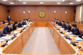 Vietnam, RoK hold 4th strategic dialogue
