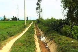 Da Nang city to see water shortage 