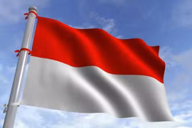 Indonesia records highest foreign investment in ASEAN