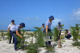 A green picture of countryside at Truong Sa archipelago