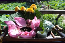 Lotus tea - Embodiment of the thousand West Lake lotus flowers