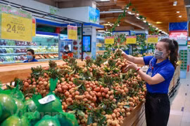 High material, fuel prices send June CPI up 0.19 percent
