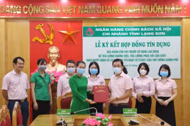 Social policy bank approves 45 billion VND in loans for salary payment