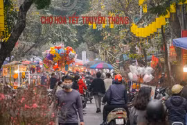Hanoi’s oldest flower market brightens with colours ahead of Tet holidays