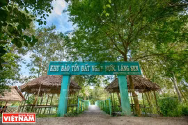 Long An reserve restores 17ha of wetland forest