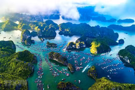 Slogans introduced to raise public awareness of environmental protection