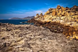 Sea turtles protected at Nui Chua National Park
