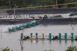 Tien Giang to expand aquatic farming area to over 10,500 ha