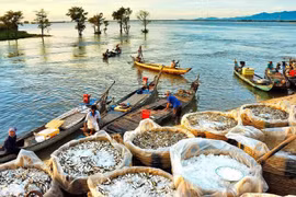 Mekong Delta region seeks to revive tourism industry