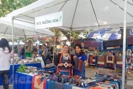 Brocade weaving craft helps Mong people escape from poverty