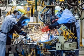 Vietnam likely to get better rating position in future: expert