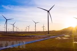 Millions of US dollars poured into green growth projects