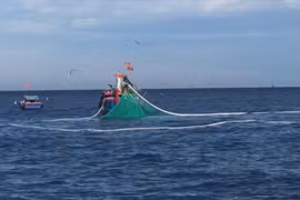 Ly Son fishermen cling to the sea