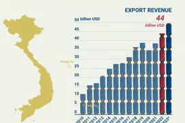 Garment- textile sector hits export target
