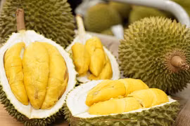 Binh Phuoc zones off 1,500 ha of durian for exports