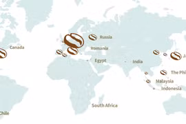 (Interactive) Major exporting markets of Vietnamese coffee in 2021