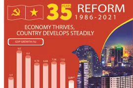 Vietnam after 35 years of reform