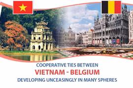 Vietnam- Belgium relations develop unceasingly