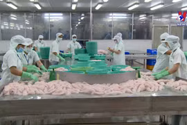 Tra fish exports to UK soar six-fold