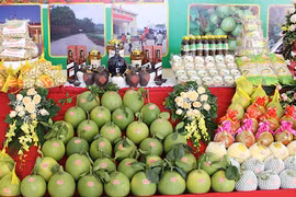 Bac Giang promotes high quality OCOP products