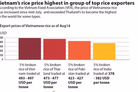 Vietnam’s rice price highest in group of top rice exporters
