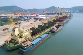 Long Son container port No. 3 expected to bring benefits to Thanh Hoa province