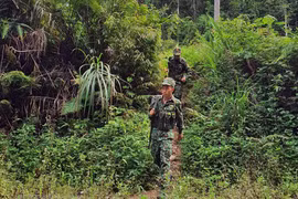 Border guards work to prevent illegal migration amid COVID-19